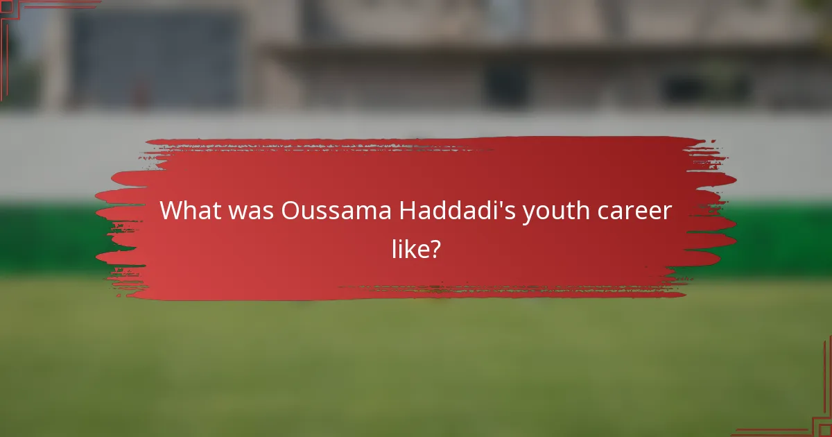 What was Oussama Haddadi's youth career like?